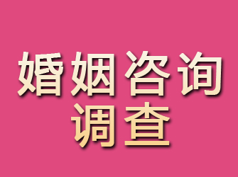 伊川婚姻咨询调查